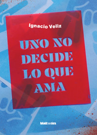 Uno no decide lo que ama - Ignacio Veliz - E-Book