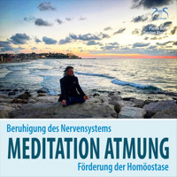 Meditation Atmung, Beruhigung des Nervensystems und Förderung der Homöostase - Bewusst Atmen - angeleitete Übung - Pierre Bohn - Hörbuch
