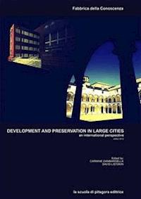 Development and preservation in large cities - aa.vv - kostenlos E-Book