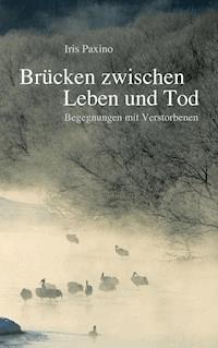 Brücken zwischen Leben und Tod - Iris Paxino - E-Book