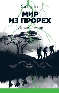 Мир из прорех: Иные земли - Яна Летт - E-Book