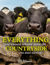 Everything you Wanted to Know about the Countryside - Jill Mason - E-Book