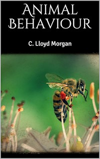 Animal Behaviour - C. Lloyd Morgan - E-Book