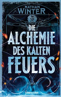 Die Alchemie des kalten Feuers - Nathan Winter - E-Book