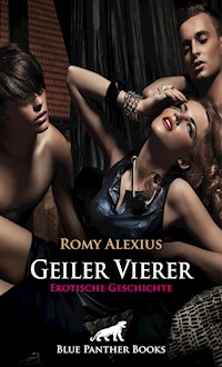 Geiler Vierer | Erotische Geschichte - Romy Alexius - E-Book