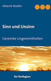 Sinn und Unsinn - Albrecht Moeller - E-Book