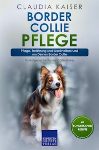 Border Collie Pflege - Claudia Kaiser - E-Book