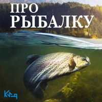 Про рыбалку - Валерий Тюрин - Hörbuch