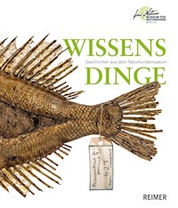 Wissensdinge - Anita Hermannstädter - E-Book