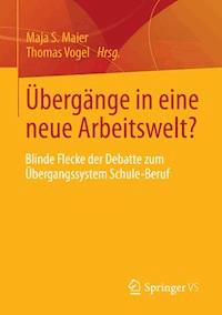 Übergänge in eine neue Arbeitswelt? - - E-Book