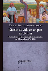 Niveles de vida en un País en ciernes - Daniel Santilli - E-Book