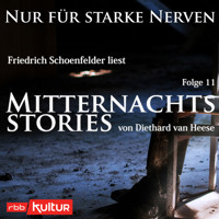 Mitternachtsstories von Diethard van Heese - Nur für starke Nerven, Folge 11 (Ungekürzt) - Diethard van Heese - Hörbuch