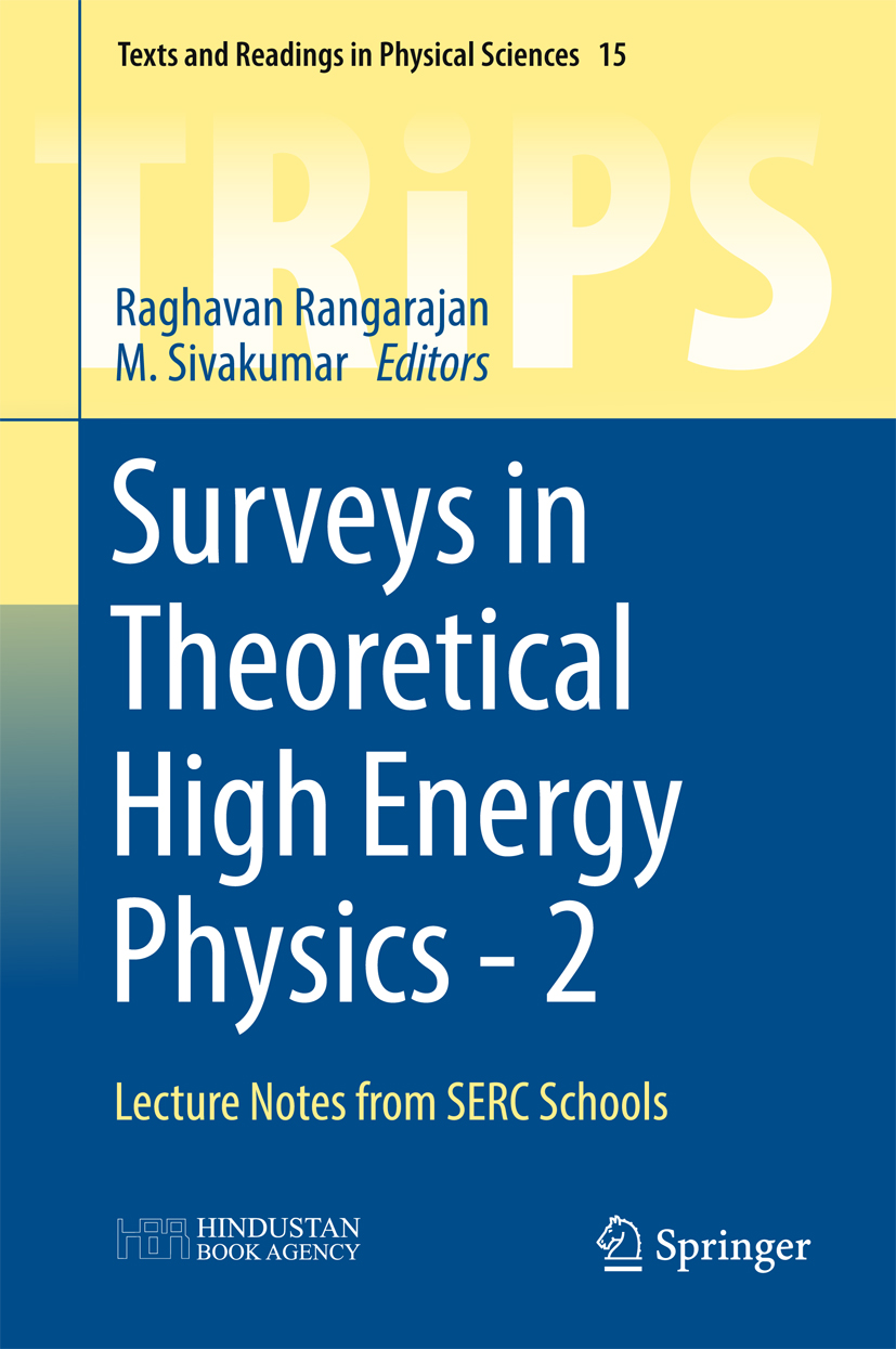 Surveys in Theoretical High Energy Physics - 2 -  - E-Book