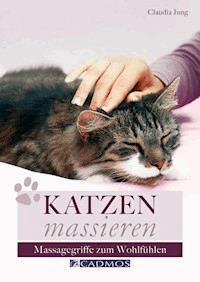 Katzen massieren - Claudia Jung - E-Book
