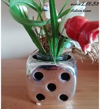 Träume und Wirklichkeit - Jana Alegra Martines - E-Book