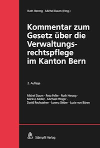 Kommentar zum Gesetz über die Verwaltungsrechtspflege im Kanton Bern - Michel Daum - E-Book