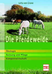 Die Pferdeweide - Jutta von Grone - E-Book