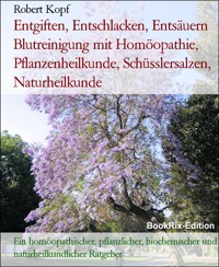 Entgiften, Entschlacken, Entsäuern Blutreinigung mit Homöopathie, Pflanzenheilkunde, Schüsslersalzen, Naturheilkunde - Robert Kopf - E-Book