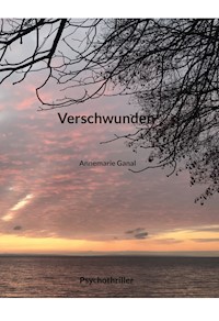 Verschwunden - Annemarie Ganal - E-Book