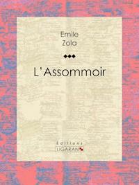 L'Assommoir - Émile Zola - E-Book