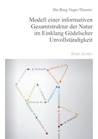 Die Ring-Traps-Theorie: Modell einer informativen Gesamtstruktur der Natur im Einklang Gödelscher Unvollständigkeit - Bodo Zeidler - E-Book