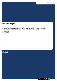 Seminarunterlage Word 2003 Tipps und Tricks - Michel Beger - E-Book