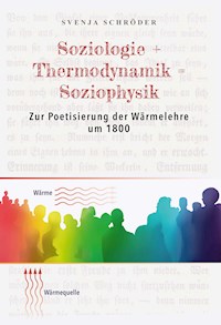 Soziologie + Thermodynamik = Soziophysik - Svenja Schröder - E-Book