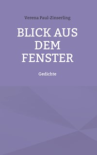Blick aus dem Fenster - Verena Paul-Zinserling - E-Book