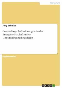 Controlling–Anforderungen in der Energiewirtschaft unter Unbundling-Bedingungen - Jörg Schulze - E-Book