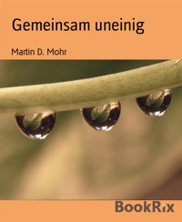 Gemeinsam uneinig - Martin D. Mohr - E-Book