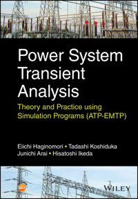 Power System Transient Analysis - Eiichi Haginomori - E-Book
