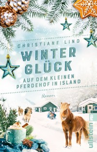 Winterglück auf dem kleinen Pferdehof in Island - Christiane Lind - E-Book