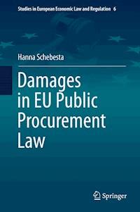 Damages in EU Public Procurement Law - Hanna Schebesta - E-Book