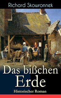 Das bißchen Erde (Historischer Roman) - Richard Skowronnek - E-Book