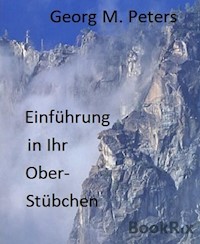 Einführung in Ihr Oberstübchen - Georg M. Peters - E-Book