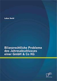 Bilanzrechtliche Probleme des Jahresabschlusses einer GmbH & Co KG - Lukas Hechl - E-Book