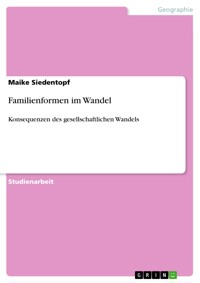 Familienformen im Wandel - Maike Siedentopf - E-Book