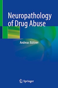 Neuropathology of Drug Abuse - Andreas Büttner - E-Book