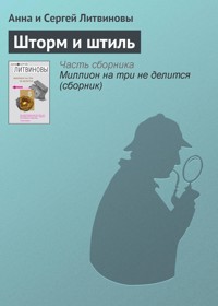 Шторм и штиль - Анна Литвинова - E-Book