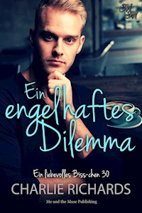 Ein engelhaftes Dilemma - Charlie Richards - E-Book