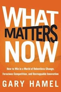 What Matters Now - Gary Hamel - E-Book