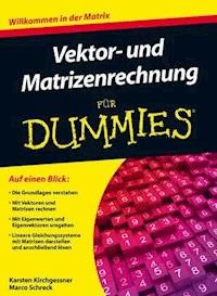 Vektor- und Matrizenrechnung für Dummies - Karsten Kirchgessner - E-Book