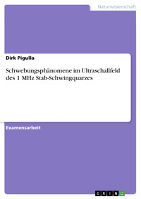 Schwebungsphänomene im Ultraschallfeld des 1 MHz Stab-Schwingquarzes - Dirk Pigulla - E-Book