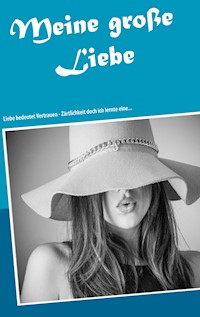 Meine große Liebe - Melany de Isabeau - E-Book