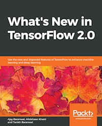 What's New in TensorFlow 2.0 - Ajay Baranwal - E-Book