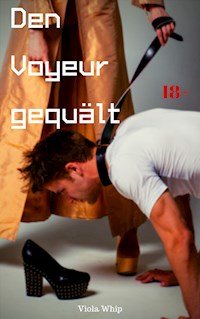 Den Voyeur gequält - Viola Whip - E-Book