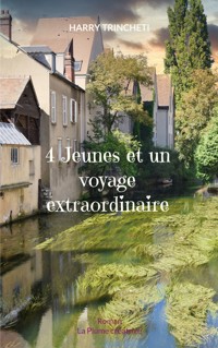 4 Jeunes et un voyage extraordinaire - Harry Trincheti - E-Book