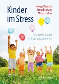 Kinder im Stress - Holger Domsch - E-Book
