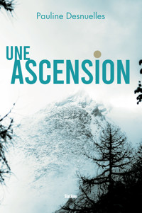 Une Ascension - Pauline Desnuelles - E-Book