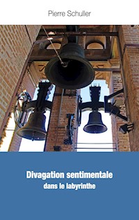 Divagation sentimentale - Pierre Schuller - E-Book